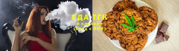 индика Богородск