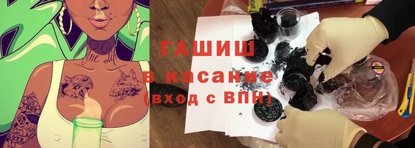 индика Богородск