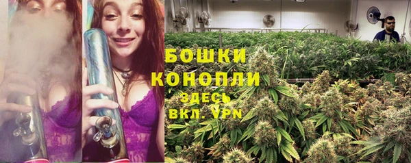 индика Богородск