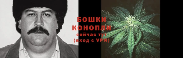индика Богородск