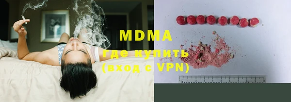 индика Богородск