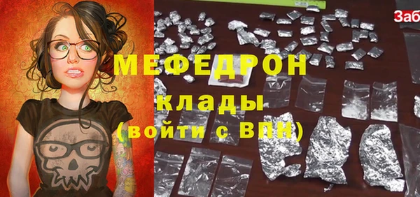 индика Богородск