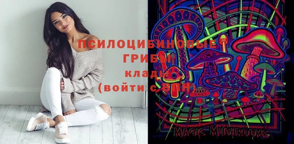индика Богородск