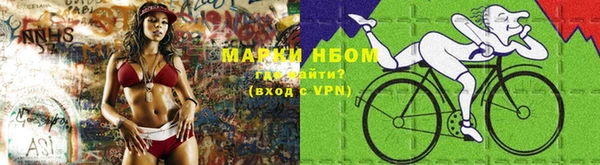 индика Богородск
