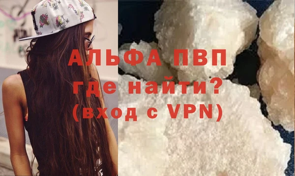 твердый Богданович