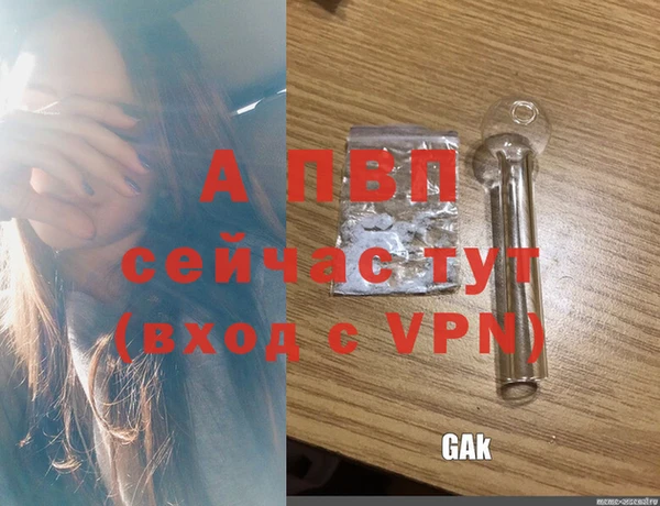 стафф Богородицк