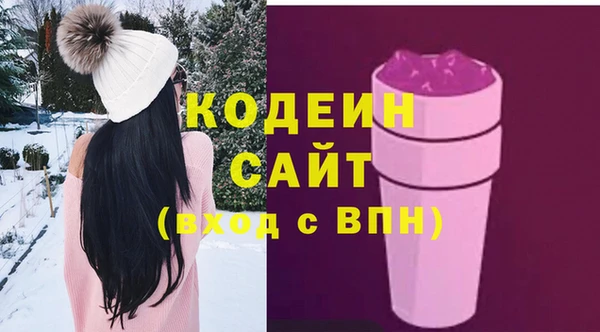 индика Богородск