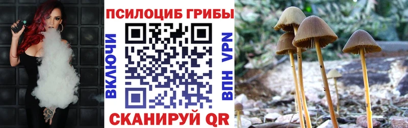 Галлюциногенные грибы ЛСД  закладки  Усолье-Сибирское 